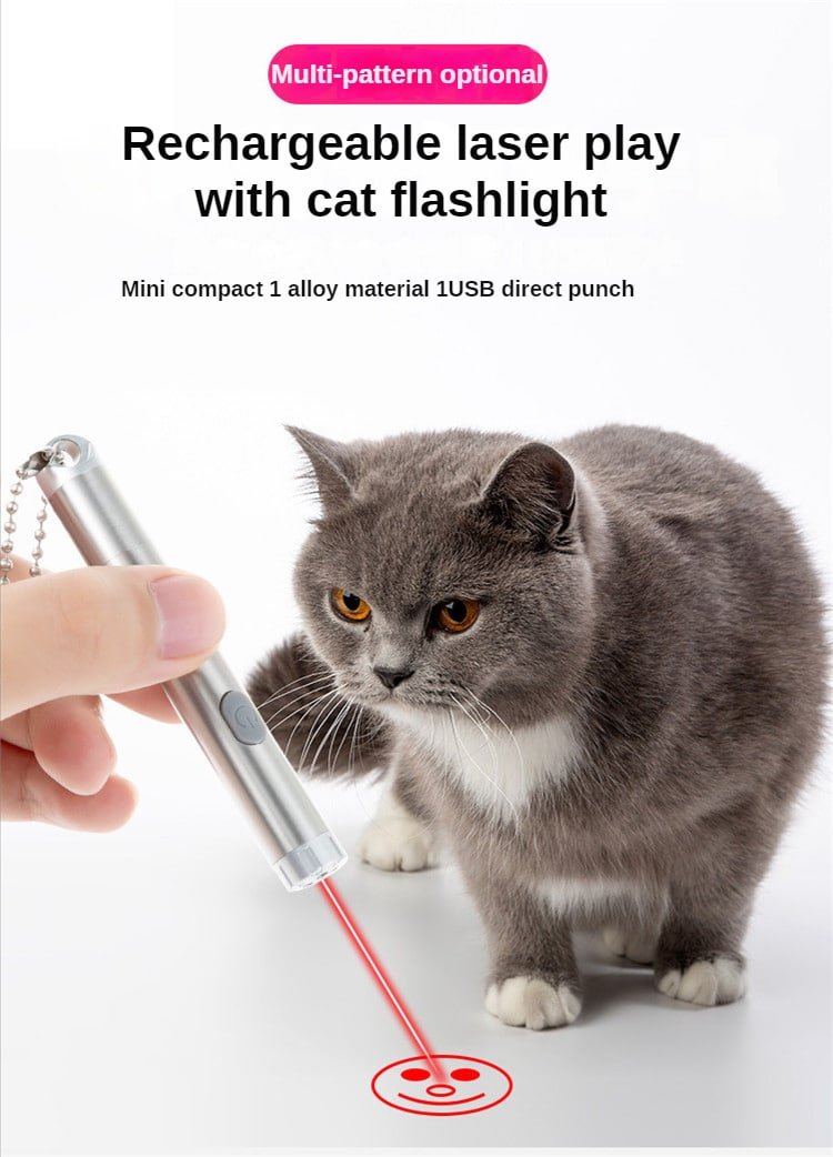 Pointeur laser pour chat : pour ou contre ?